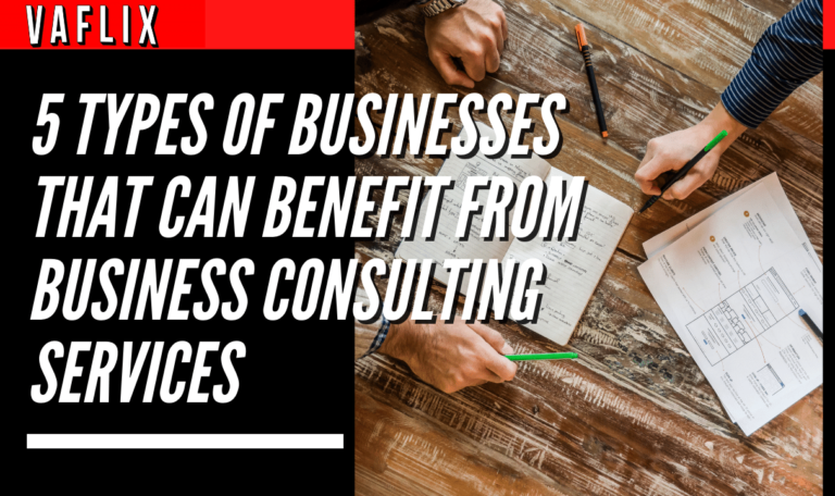 5 Types Of Businesses that Can Benefit From Business Consulting Services virtual assistant hire philippines va flix vaflix VA FLIX