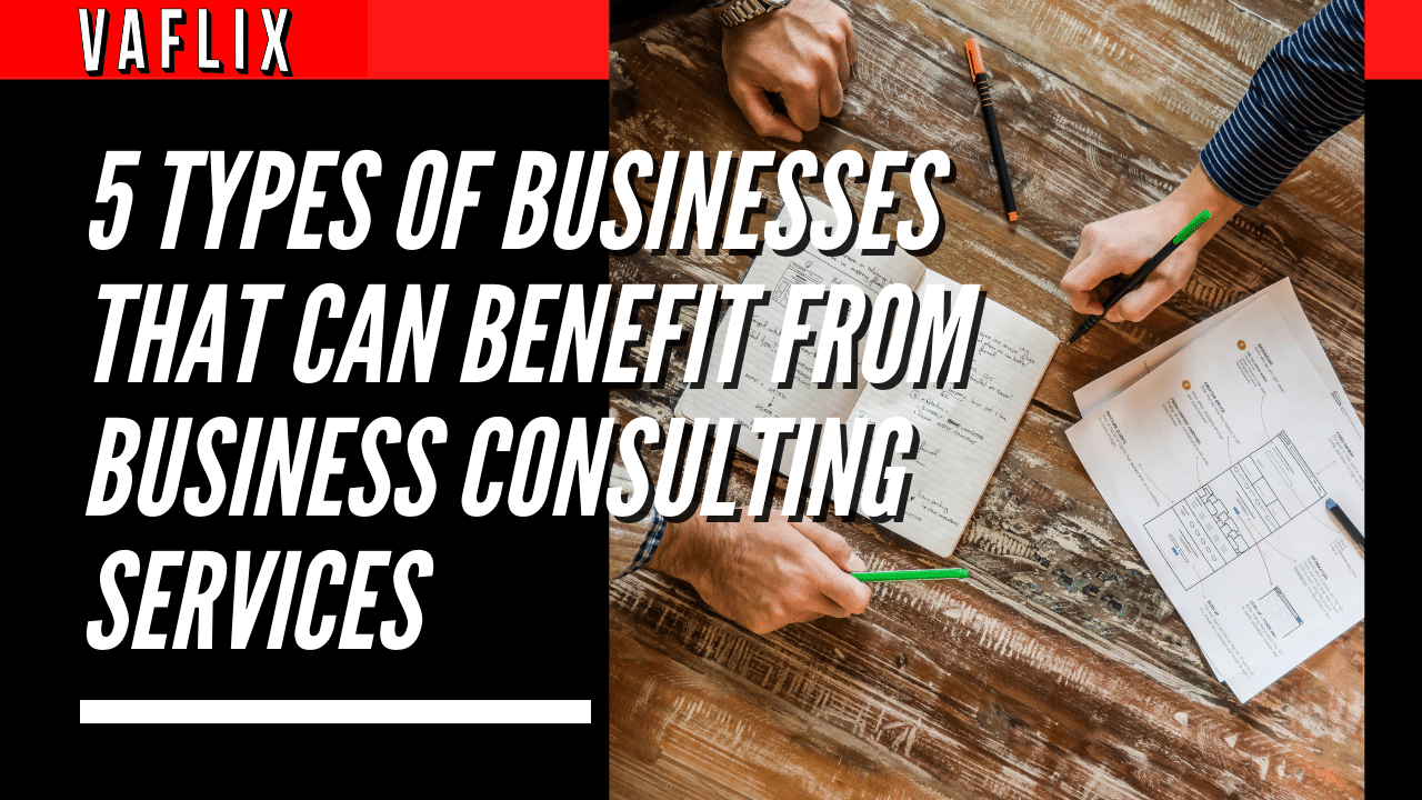 5 Types Of Businesses that Can Benefit From Business Consulting Services virtual assistant hire philippines va flix vaflix VA FLIX